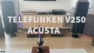 Telefunken V250 Acusta + Celestion Ditton 44