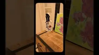 Peaceful Airbnb Stay in Gurugram | Sunshine Deck Tour | Perfect for Women & Travelers | Sun Room