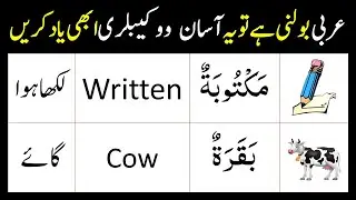 Arabic Words in English and Urdu | Part 22 - 1000 Arabic Words | Arabic Vocabulary for Beginners