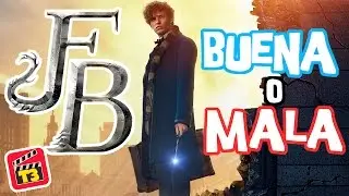 Animales Fant&aacute;sticos y Donde Encontrarlos - BUENA o MALA/ Toma 3 / Memo Aponte