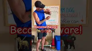 Как носить цепочный ошейник-удушитель #шорты