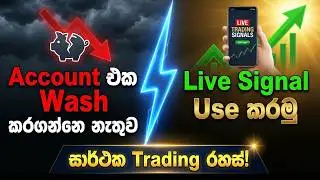 How to Trade Live Signals Without Blowing Your Account | Real Money SL