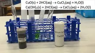 Investigating characteristics and reactions of dilute acids
