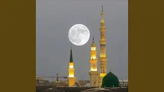 ‏تب فإن الذنب عار