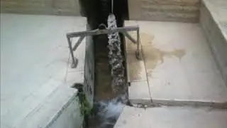 ابو انس عين التينة