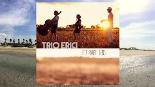 Trio Erici - Ett annat land