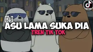 DJ asu lama suka dia de yang manis pipi congka slow beat mengkane 🎧