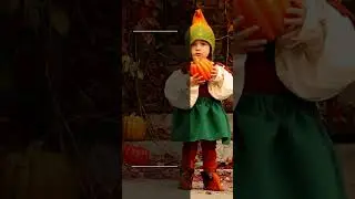 Gnomes, Trolls, Nisse, and Tomte, Oh My! | #childrensbook