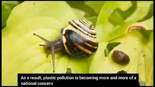 Water Pollution in Pakistan.. Limnology.. Pakistan