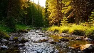 🍃 Relaxing Forest Stream Sounds 🌊 | White Noise for Sleep Fast & Calm