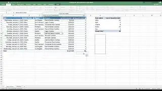 Module 20   Microsoft Excel Pivot Tables Part3