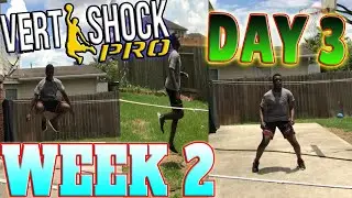 VERT SHOCK Pro: Shock Phase(Week 2 Day 3)[FOLLOW ALONG]!!!|Vert Shock Day 10 Workouts