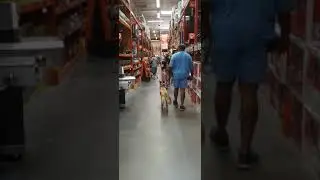 K9 Nala Home Depot 0