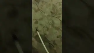 Fil sesi komedi komedi  video