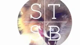 STSB+Saalmen - Boosen