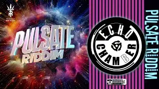 Pulsate Riddim Mix! | Echo Chamber