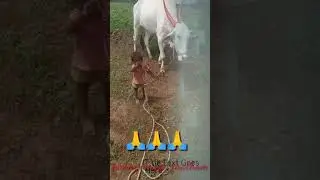 Anna Data Mannin Maga Paratham Khajuri