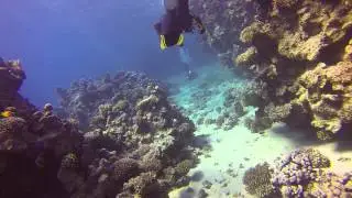 Diving with Sinai Blues at Four Seasons Resort Sharm El Sheikh