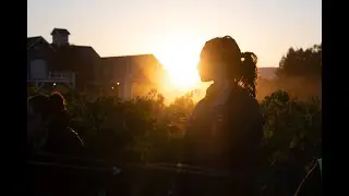 Corison Winery
