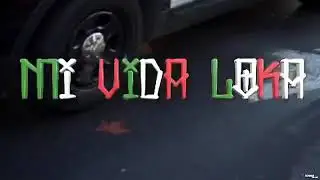 BODYGUARD JB AND PESO PESO GET JAMMED UP BY TMZ AND POLICE @Jbodyguardb @dgreenfilms