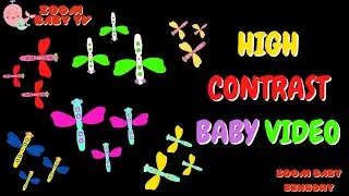 Zoom Baby Sensory 🐞 Cheerful and Colorful dragon-fly😊High Contrast Video For Baby  Stimuli