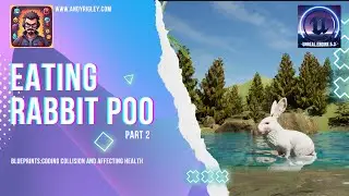 Making my rabbit eat poo 2 . Unreal Engine Game Development.