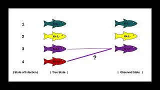 Comparison of tissues for the detection of Renibacterium Salmoninarum in cutthroat trout