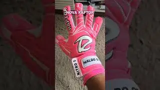 RAPTOR ROSA #futebol #goleiro #luvasdegoleiro #luvasraptor #shorts #outubrorosa #raptor #nitro5