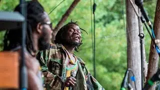 Mosaic Foundation | Otis Live
