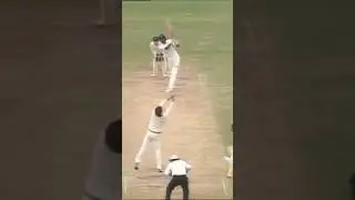 Allan Border to Ravi Shastri 🏏#shorts #cricket #indvsaus #ravishastri #allanborder
