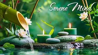 Deep Sleep Bamboo Water Piano 🌿 Soft Healing to Quiet Racing Thoughts & Drift