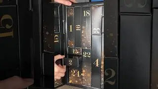 Open the Advent Calendat from Satisfyer 2024