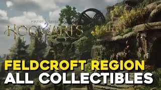 Hogwarts Legacy Feldcroft Region All Collectible Locations