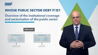Overview of the institutional coverage and sectorization of the public sector