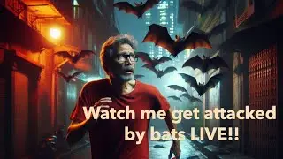 Why streaming in the middle of a bat colony is a BAD idea