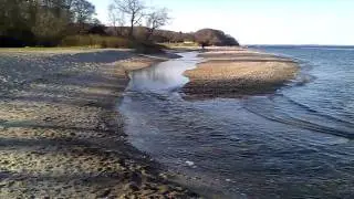 Udl&oslash;bet af Giber &Aring; ved Moesg&aring;rd Strand