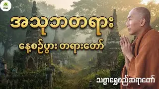 သစ္စာရွှေစည်ဆရာတော် ဟောကြားသော အသုဘတရားတော် | နေ့စဉ်ပွား နားထောင်ရန်  Dhamma Talk for Peaceful Sleep