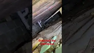 Get in the crawlspace!  #crawlspace #homeinspection #realestate #wet #work #gross #mold #plumber