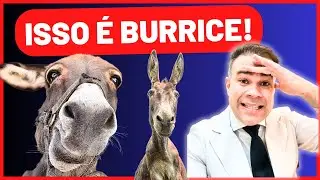 5 MAIORES MENTIRAS sobre ARRITMIAS CARDÍACAS | ARRITMIAS do CORAÇÃO (o que não te contam)