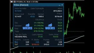 Ea Para Forex Wolves Diamond - Resultado em conta REAL