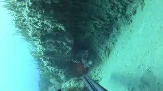 Fishing lionfish!!!!🤤
