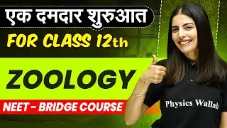 Class 11th ZOOLOGY - Make your basics Super Strong || NEET