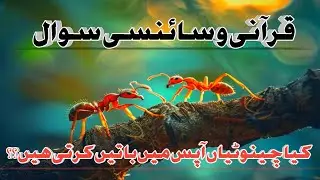 did ants speak to each other/ what Quran and science says about that ?? #quran #science #allah