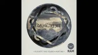 Calyx & Teebee - Elevate This Sound