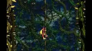 Donkey Kong Country 2 - Bramble Scramble