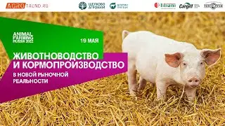 Конференция ANIMAL FARMING Russia 2022