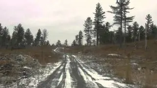 Anstice Old Logging Roads 1