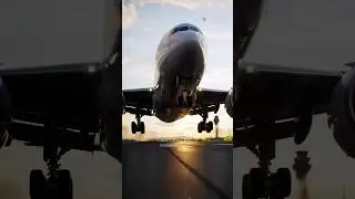 Massive Passenger Plane Makes Smooth Landing at Busy Airport