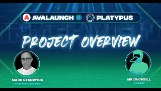 Avalaunch Project Overview: Platypus