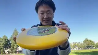 Frisbee Flight Dynamics